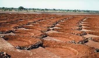 ‘Half moon’ contours turn Isiolo deserts into agricultural oases
