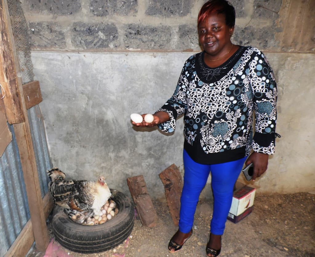 Mombasa farmer rears ornamental birds on worm-diet, halfs costs