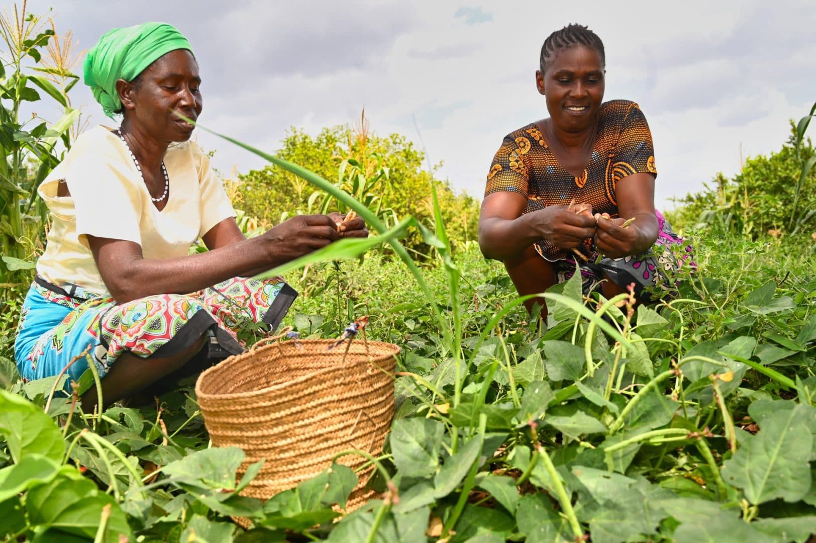 World Vision Kenya calls for united action to end hunger as Kenya marks World Food Day 2025
