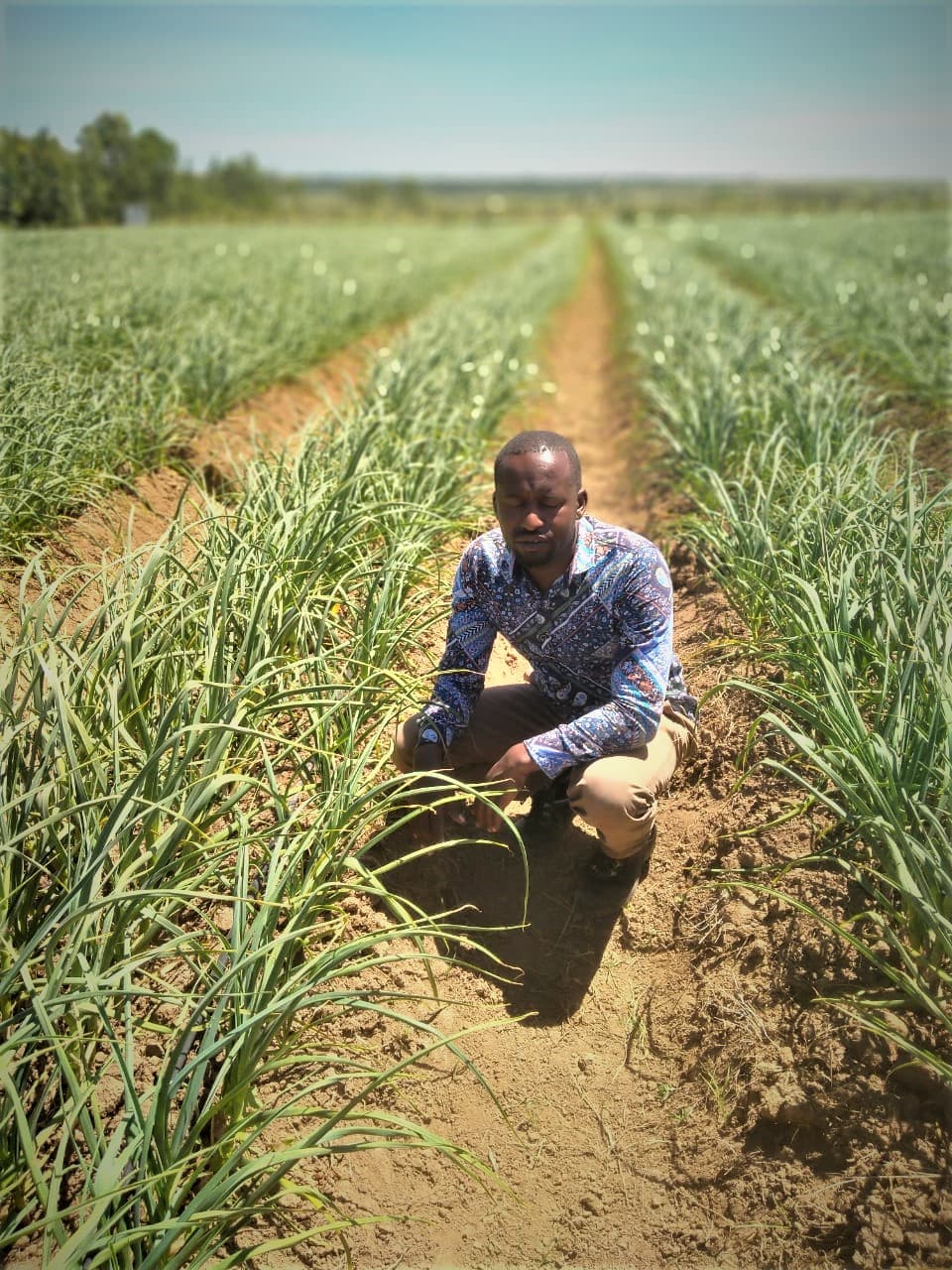 FarmBiz TV:Farmer leaves knives for Sh12m a year from garlic and ginger.