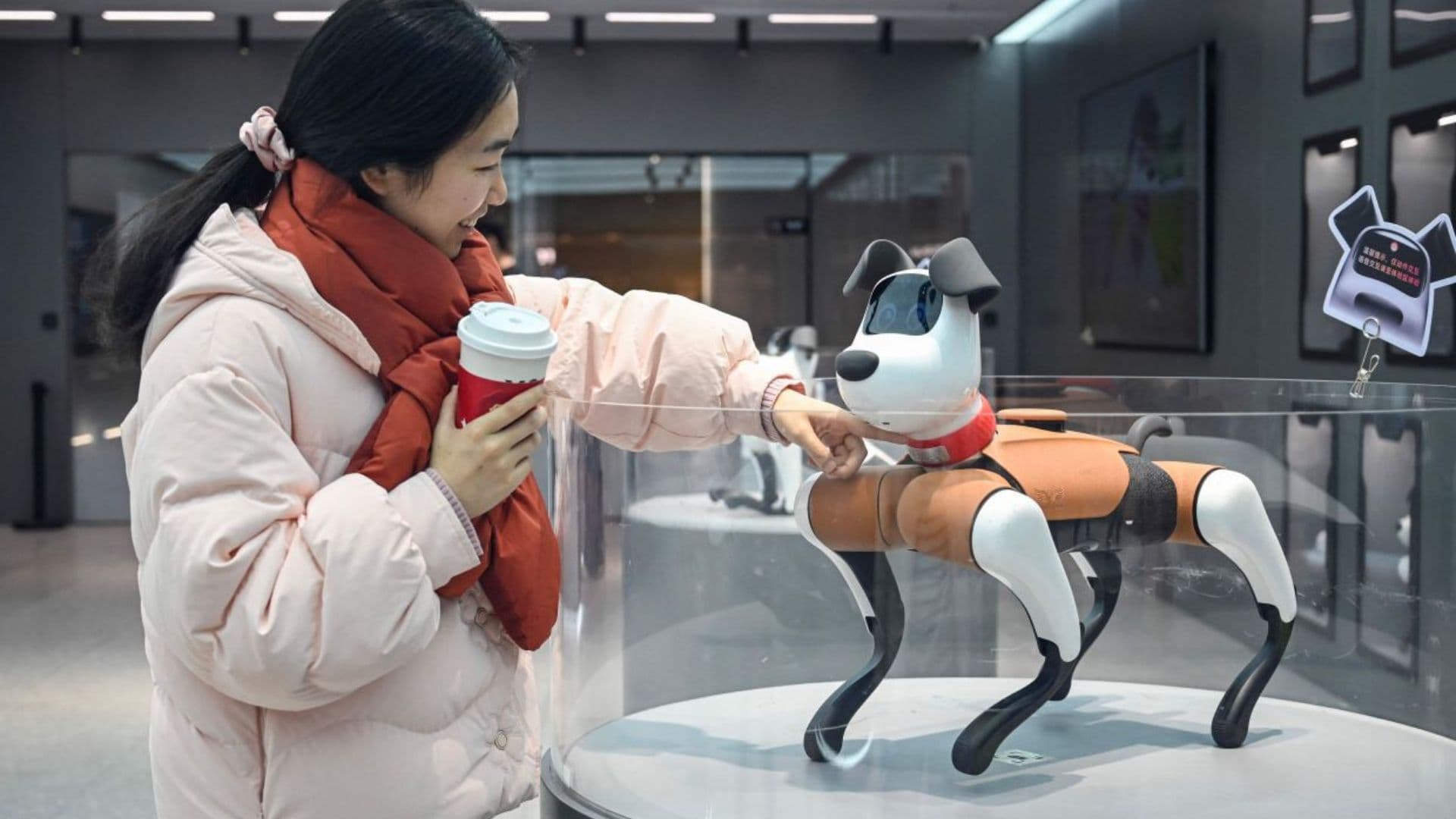 Why Young People in China Are Turning to AI Pets for Emotional Support