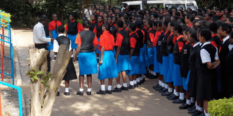 Boys’ Senior Schools Provide Wider Career Pathways and Better Learning Facilities, Report