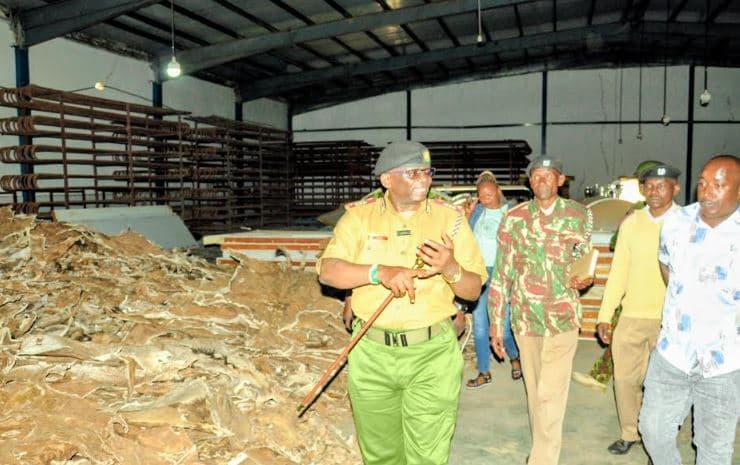 Renewed donkey meat trade crackdown gives eastern region farmers hope