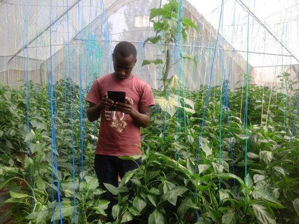App helps farmer predict his farming business