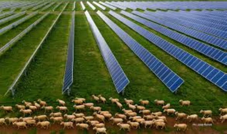 Blind Creek solar-storage project in New South Wales signs offtake deal with Flow Power