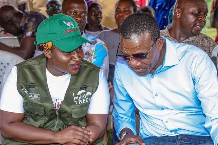 Malava tree drive boosts Government’s environmental conservation efforts