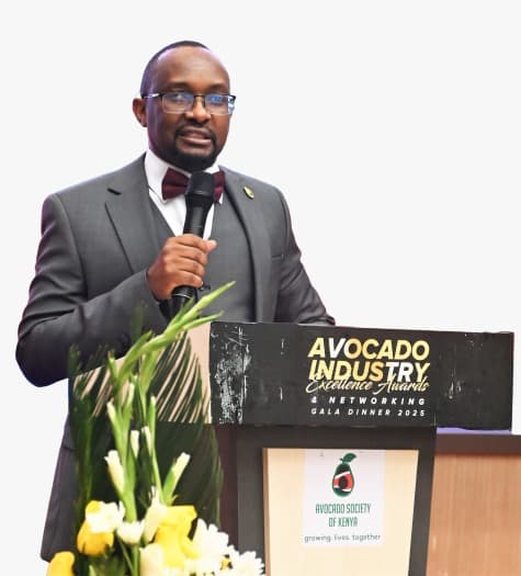 Kenya to host Avocado Conference in Nairobi