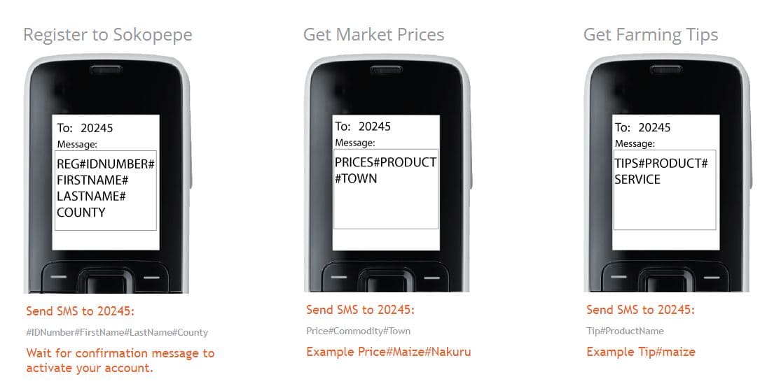 Online platform links banana, potato and maize farmers to markets