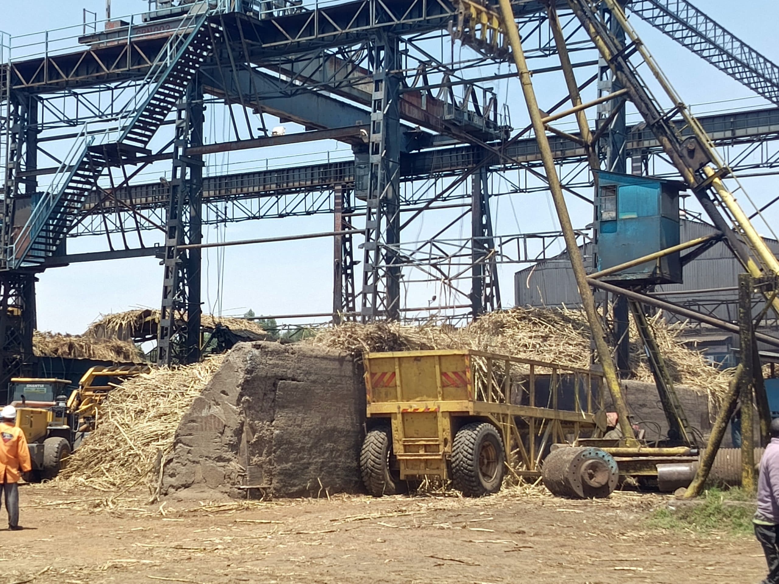 State urged to clear outstanding debt owed to cane farmers