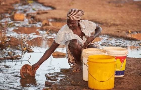 When the springs run dry: Drought pushes Kisii families to the brink