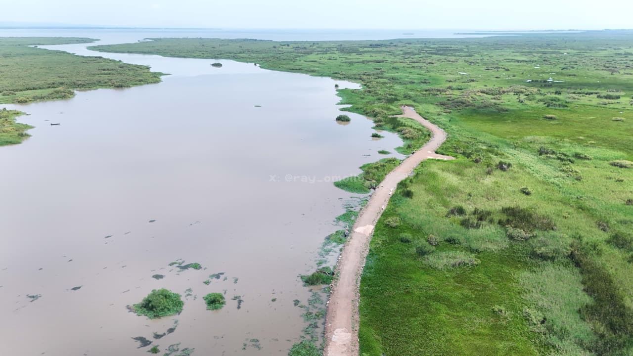 Govt Project Brings New Hope to Flood-Hit Kano Communities