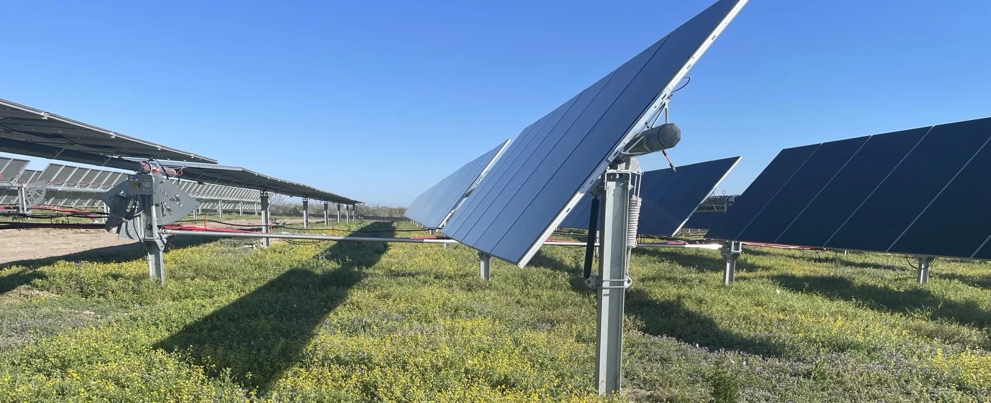 Lightsource bp Announces Completion of 288 MW of Solar in Texas