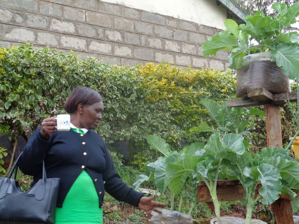 Hanging gardens helping urbanites reduce vegetable costs