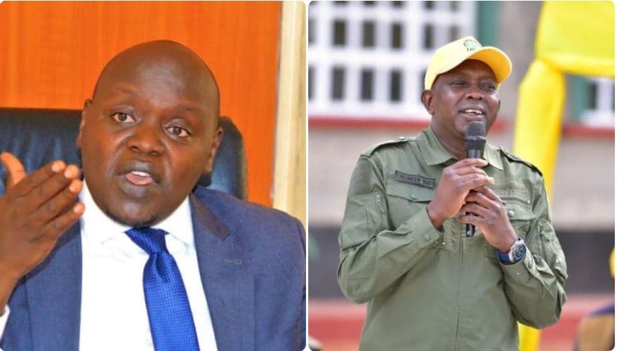 Senator Cherargei, MP Sudi Praise President Suluhu’s Firm Stand Against Meddling Kenyan Activists