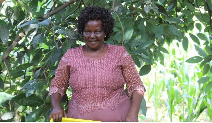 Grace Mutai: My experience in Hass avocado farming and what farmers need to know