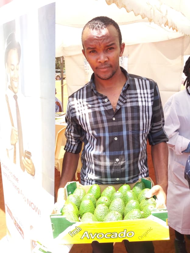 Finance graduate making up to Sh70,000 in three days from avocado farming and supply