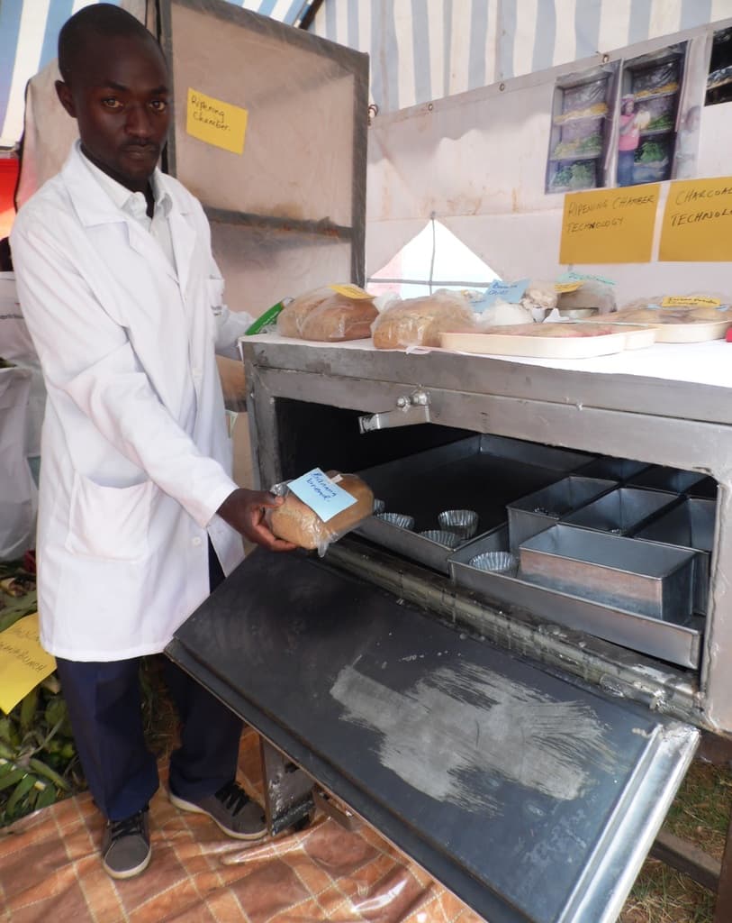Group earns from ulcer treating banana peels powder