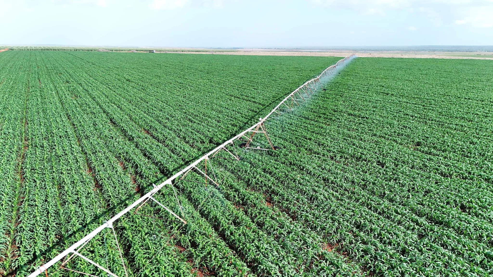 Govt Reaffirms Commitment to Food Security as Galana–Kulalu Project Scales Up