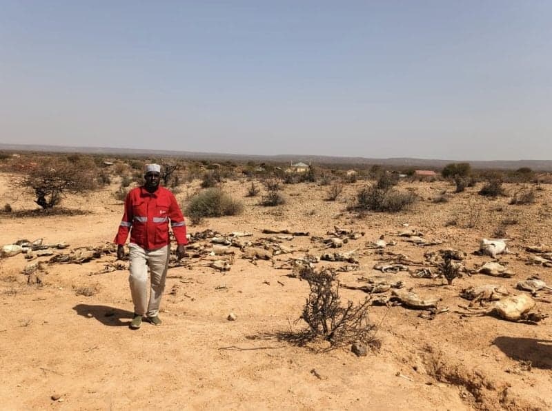 IGAD urges shift from crisis response to prevention as East Africa’s hunger crisis deepens
