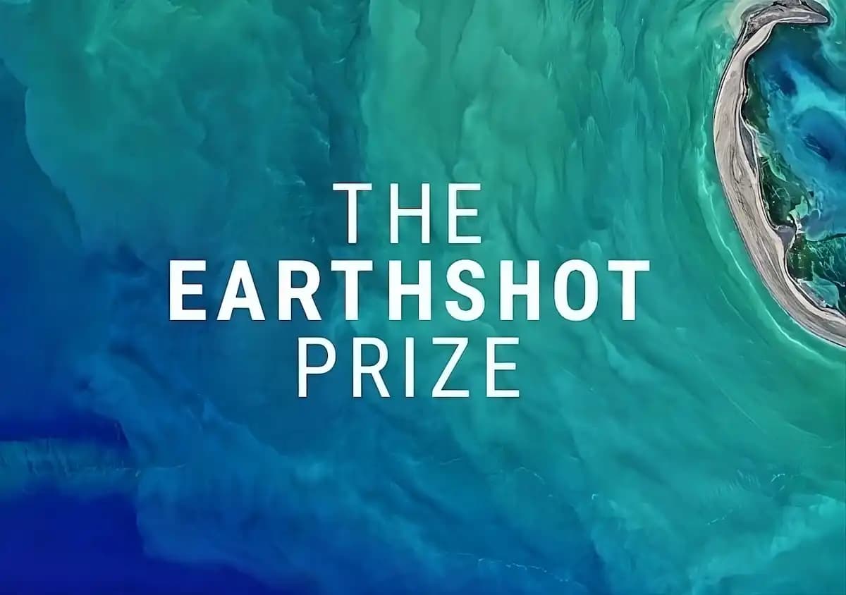 Two Kenyan and One Ghanaian Companies Among 2024 Earthshot Prize Finalists