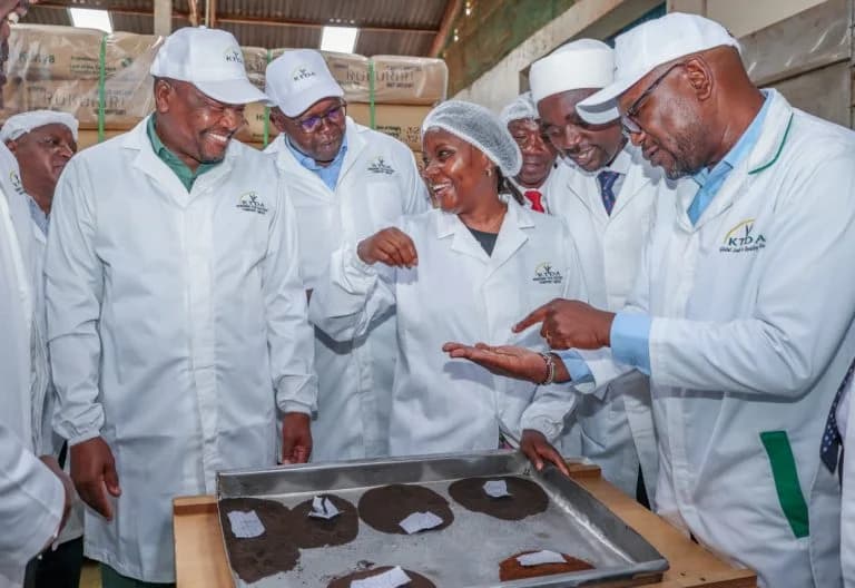Kenya Lures Chinese Investors to Build Tea Processing Sector in the Country