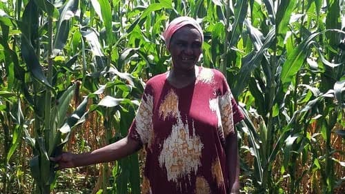 Farmer cures daughter of farming sickness hobbling Western Kenya