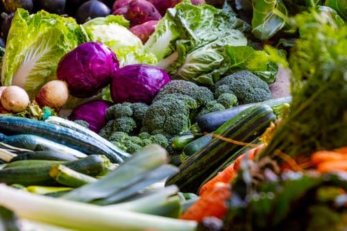 Pesticide bans hit food production as unguided farmers suffer surge in crop losses