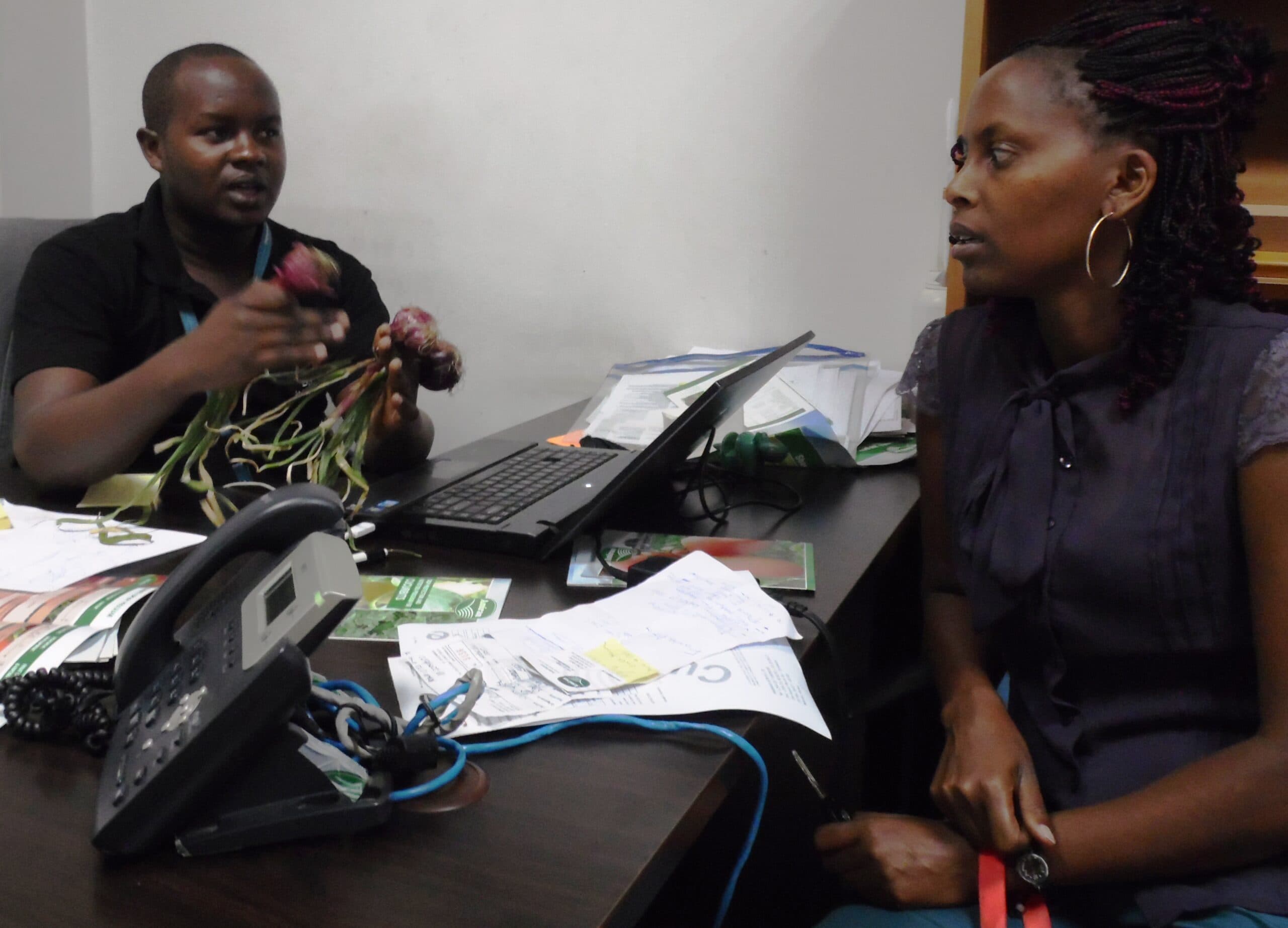 Amiran Kenya offering free crop disease clinic to farmers