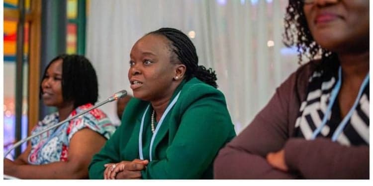 Kenya Secures Ksh91 Million Grant in Breakthrough UN-Backed Funding Deal
