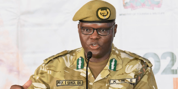 KWS Given 21 Days to Release Information on Kenya’s Snakebite Deaths