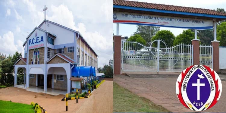 Schools, Hotels, Hospitals and Other Investments Owned by PCEA