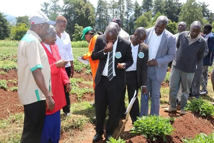 Elgeyo Marakwet: How a quarter of an acre compound can give enough produce for food and sale