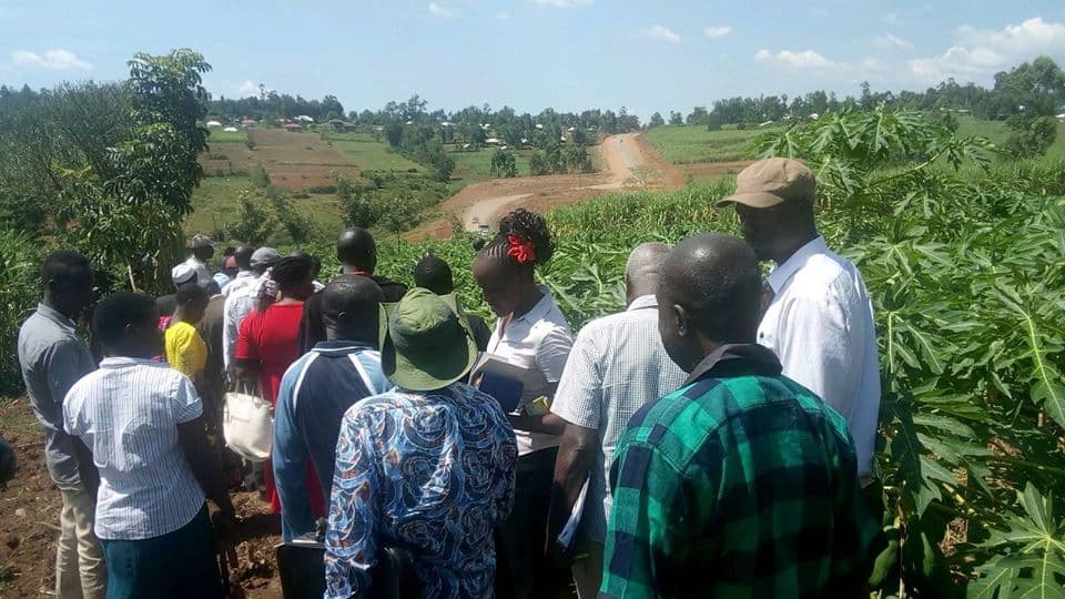 Western Kenya-based agro-processing firm offers ready market for pawpaw farmers