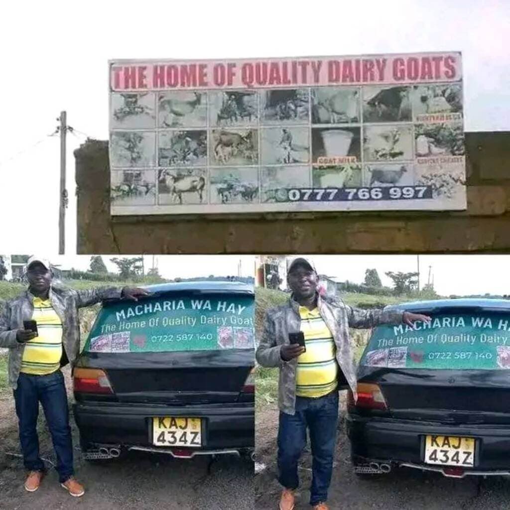 Marketing wizard triples goat sales on WhatsApp, YouTube.