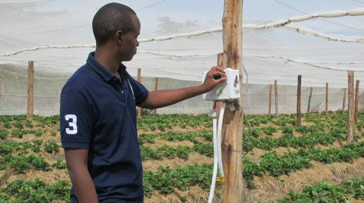 Report: Kenya and Nigeria tops in the Agri-Tech Startup markets in Africa