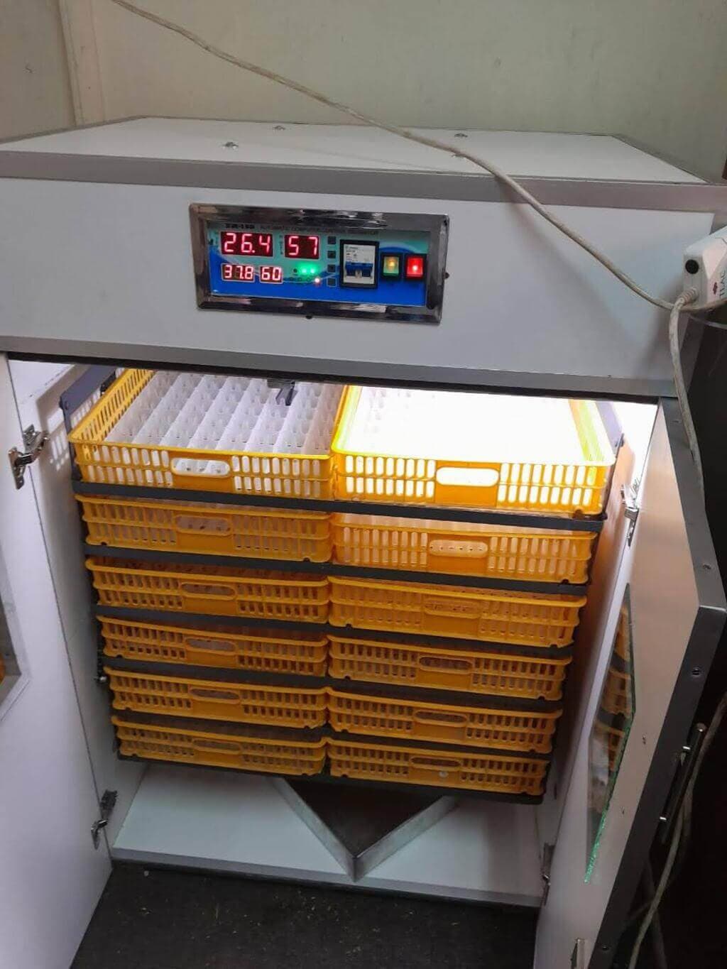 Solar incubator moves egg farmer into chicks with 4X income