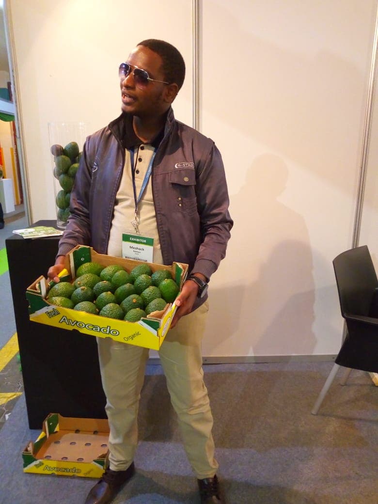 Kenya Avocado Society recruiting farmers to plant the crop as demand soars