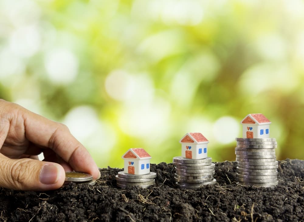 Where to invest in Kenya