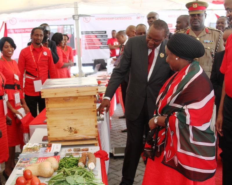 Company sells improved Longstroth beehives that doubles honey yields