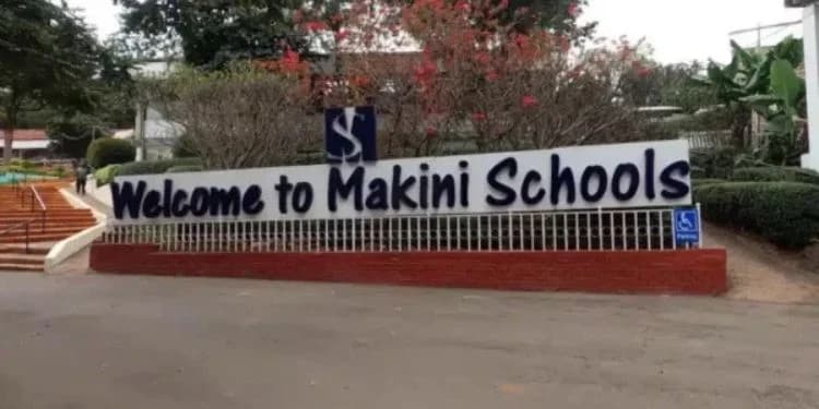 Makini Schools Owner Posts Sh545 Million Profit in Kenya