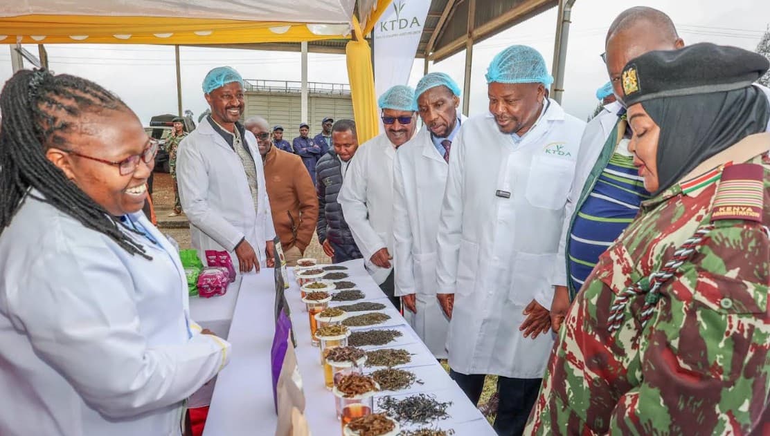 Kenya positions itself for premium specialty tea markets
