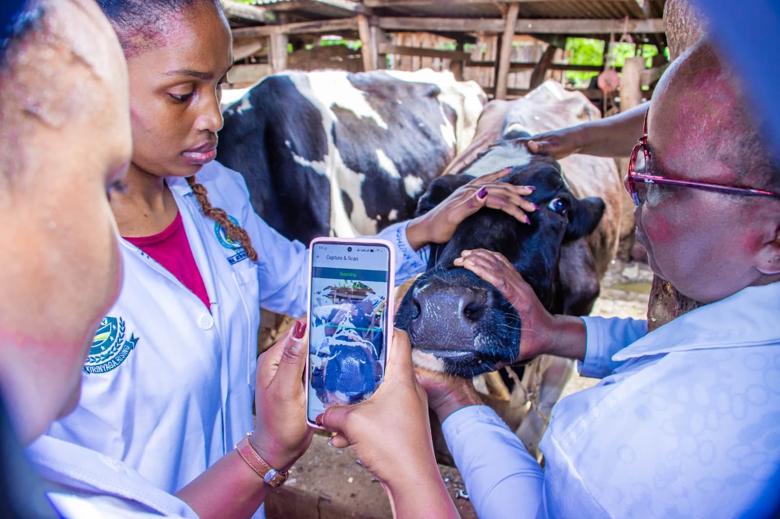 Kirinyaga launches digital livestock registration and vaccination drive