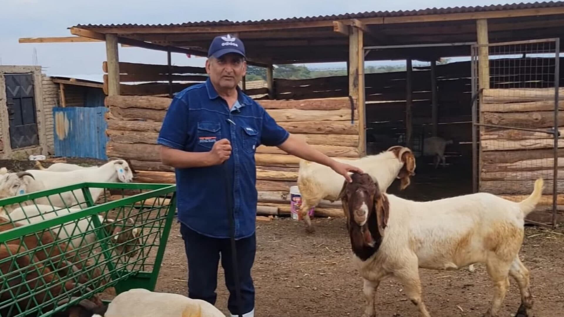 Inside Hon. Sumra’s superior genetics goat farm in Kajiado