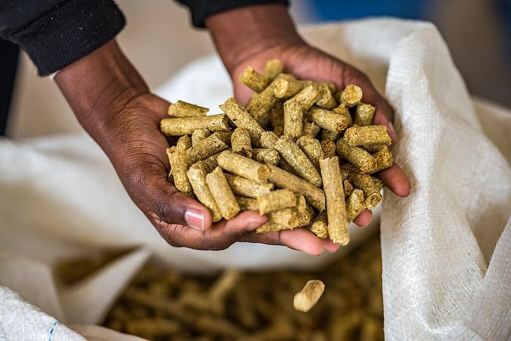 Farmers research for years in search of perfect feed formula from abandoned crops and waste products