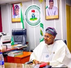 Boss of fake government agency arrested in Nigeria after weeks on the run