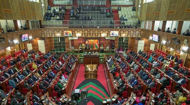 MPs demand action as political goonism threatens public gatherings