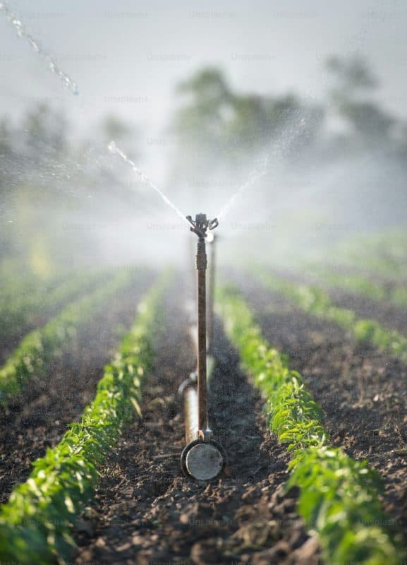 Government adopts business process re-engineering to improve irrigation service delivery