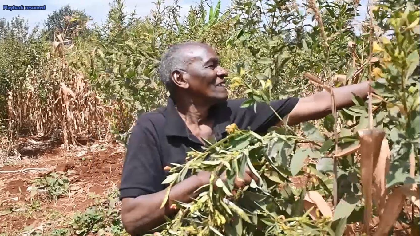 Title deeds restore hope to former Kihiumwiri land dispute victims