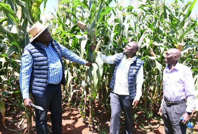 ASK welcomes Government’s decision to subsidize seed and fertilizer
