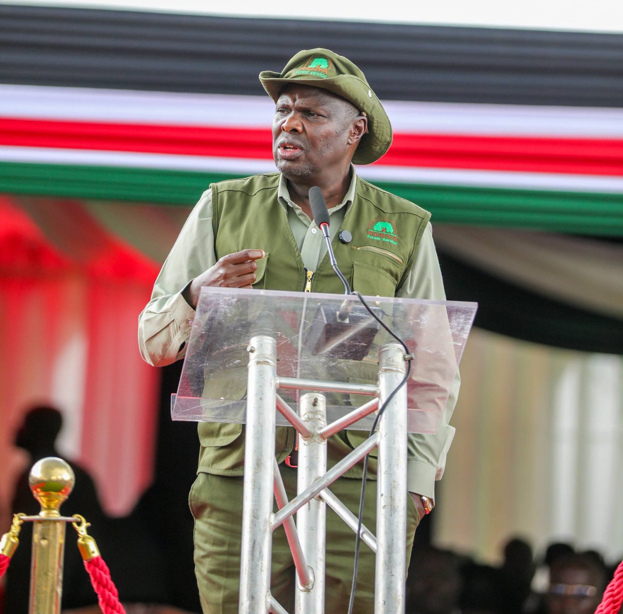 Koskei says Mau Forest recovery programme restoring ecosystems and livelihoods
